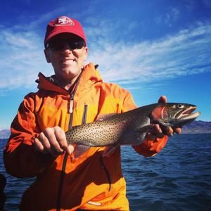 Meet your Posher, Anthony